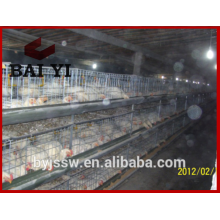 Commerical chicken brolier cage/ chicken baby cage
